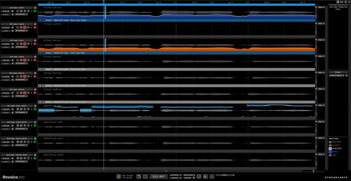 Synchro Arts Revoice Pro 5 Vocal Editing Software official product artwork