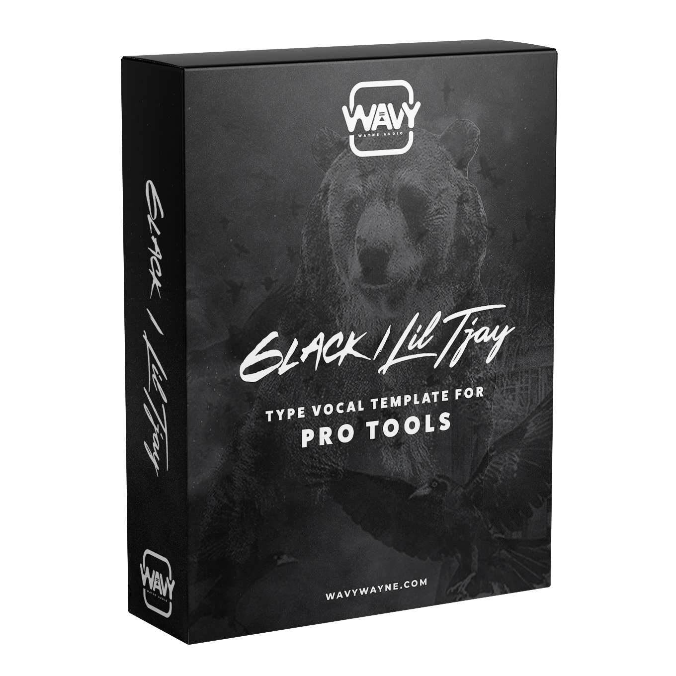 Lil Tjay / 6lack Type Vocal Template for Pro Tools Wavy Pro Audio