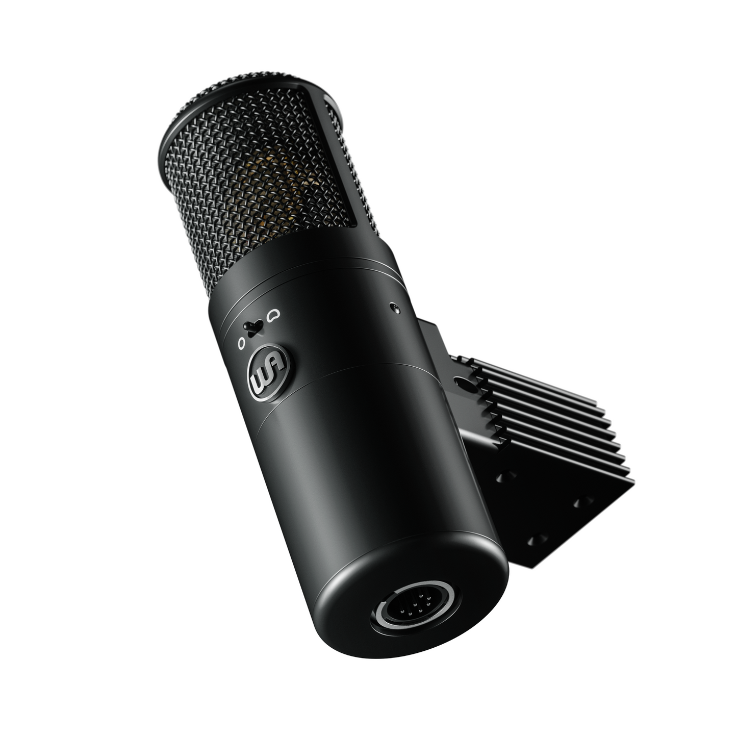 Warm Audio WA-8000 Large-diaphragm Tube Condenser Microphone