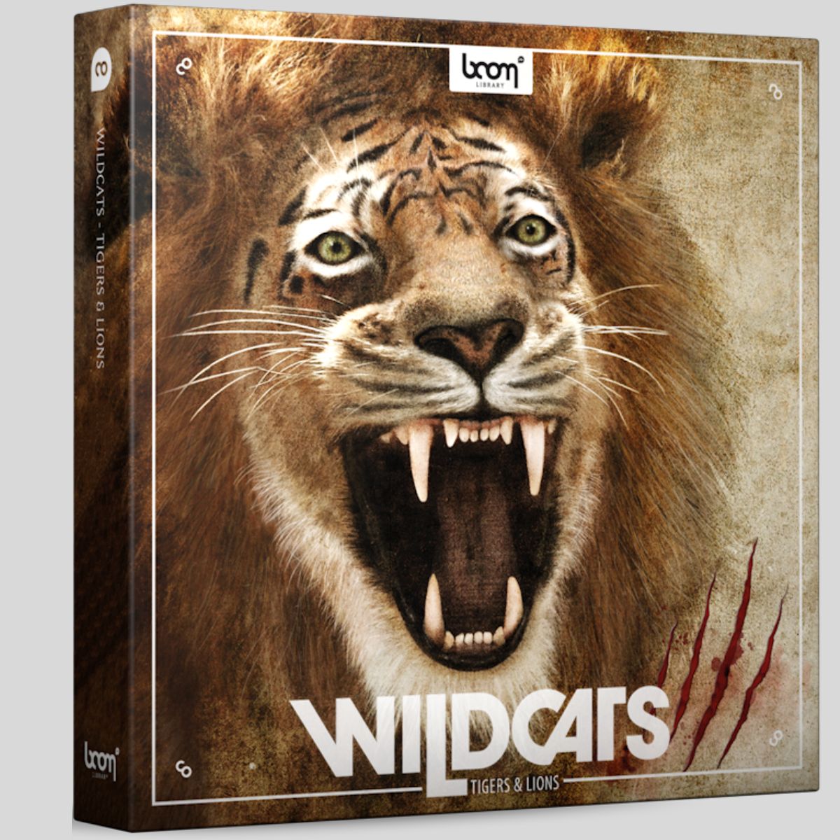 BOOM Library Wildcats