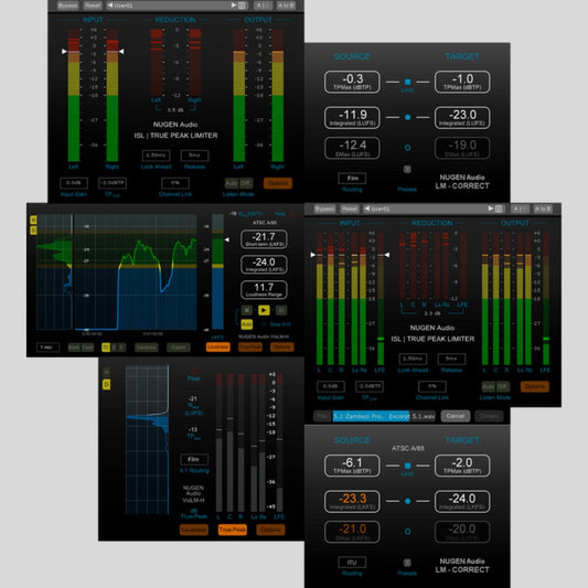 NUGEN Audio NUGEN LoudnessToolkit 2.8 Plug-in