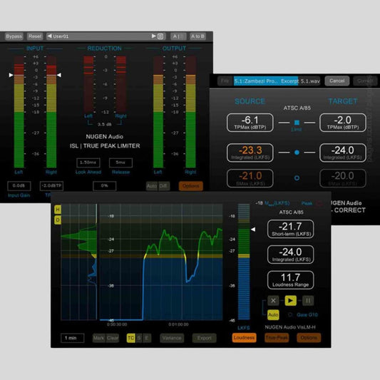 NUGEN Audio NUGEN Loudness Toolkit 2 UPG Plug-in