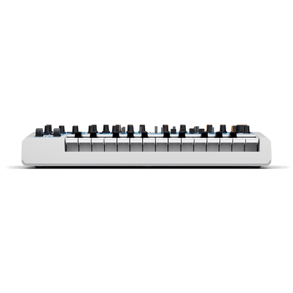 Novation Bass Station II Swifty Edition Front Low