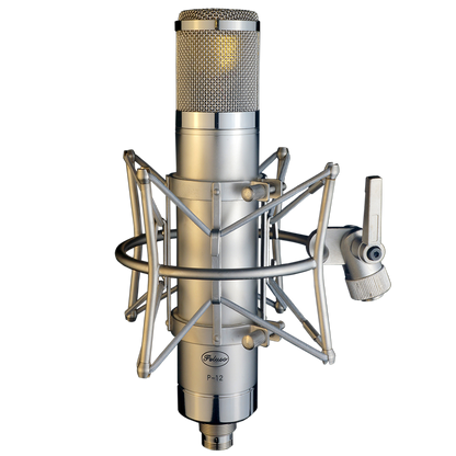 Peluso Microphone Lab P-12 Vacuum Tube Large Diaphragm Condenser