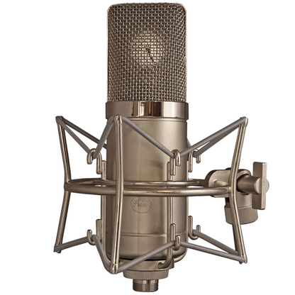 Peluso Microphone Lab P-49 Vacuum Tube Large Diaphragm Condenser